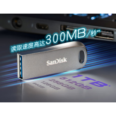 闪迪（SanDisk）64GB USB3.2 U盘 CZ74 读速高达300MB/s 金属高速u盘学习办公投标大容量优盘