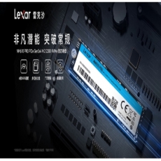雷克沙NM610PRO M.2 500G
